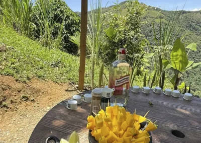 Degustación de mango y frutas en finca del Tour del Café y Frutas Medellín